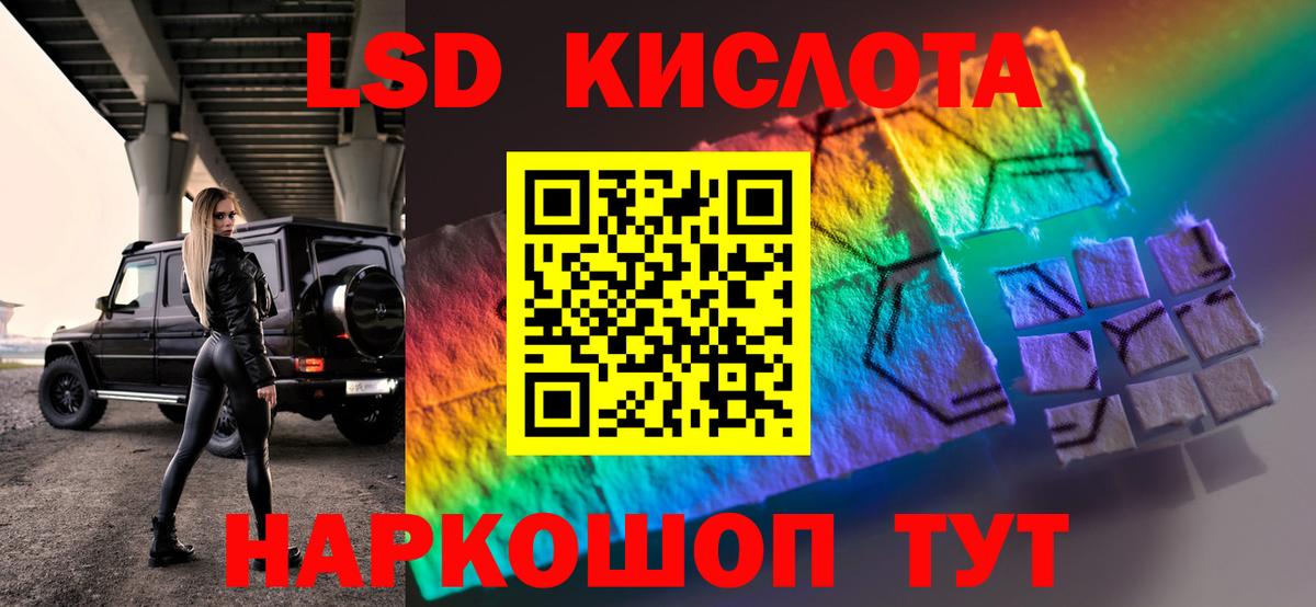 Бошки Шишки Сланцы