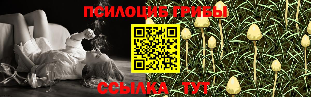 Псилоцибиновые грибы Psilocybine cubensis Сланцы